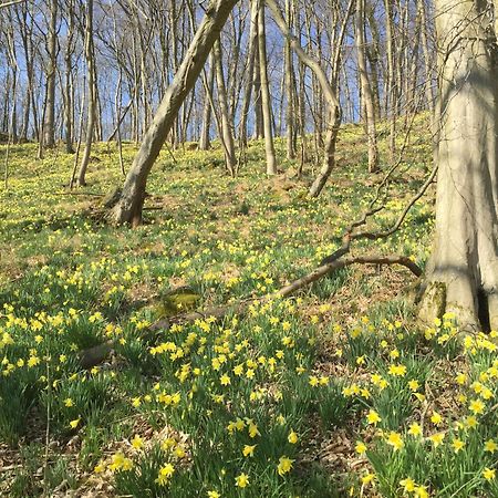 Venngasthof Zur Buche Monschau Esterno foto